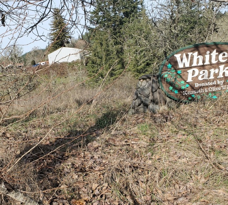whites-park-photo